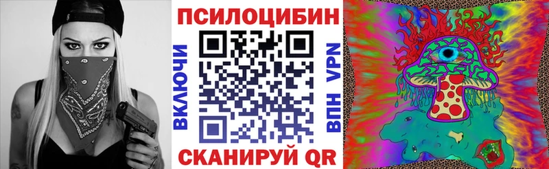 Псилоцибиновые грибы Psilocybine cubensis  магазин продажи   Элиста 